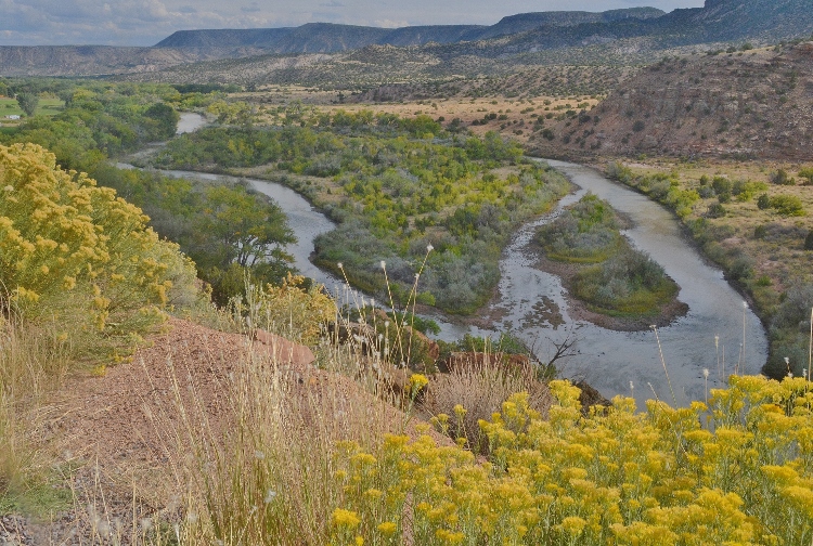 The Chama River 